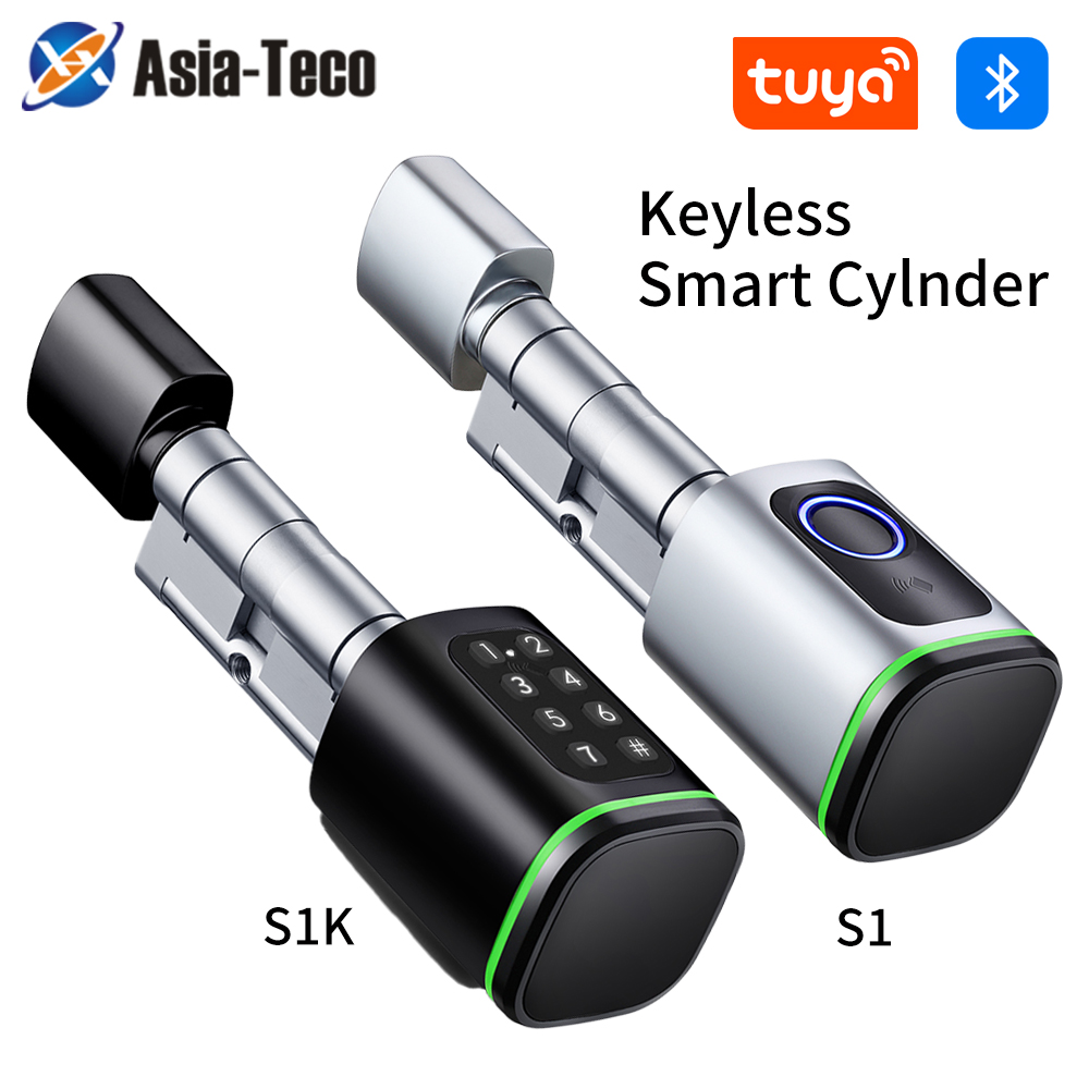 Tuya 스마트 디지털 문짝 잠금 장붓 구멍 데드볼트, - Smart Home Door Lock 리뷰 및 가격