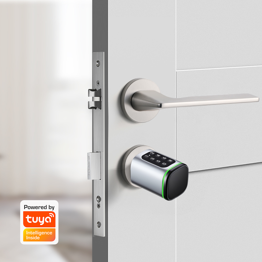 Tuya 스마트 디지털 문짝 잠금 장붓 구멍 데드볼트, - Smart Home Door Lock 리뷰 및 가격