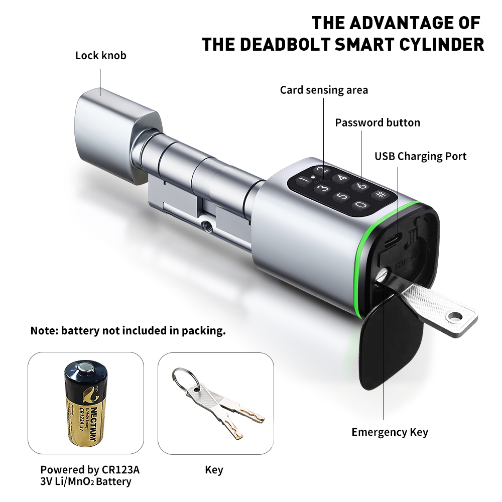 Tuya 스마트 디지털 문짝 잠금 장붓 구멍 데드볼트, - Smart Home Door Lock 리뷰 및 가격